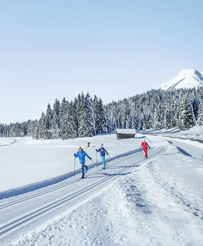 Cross-Country-Skiing 3